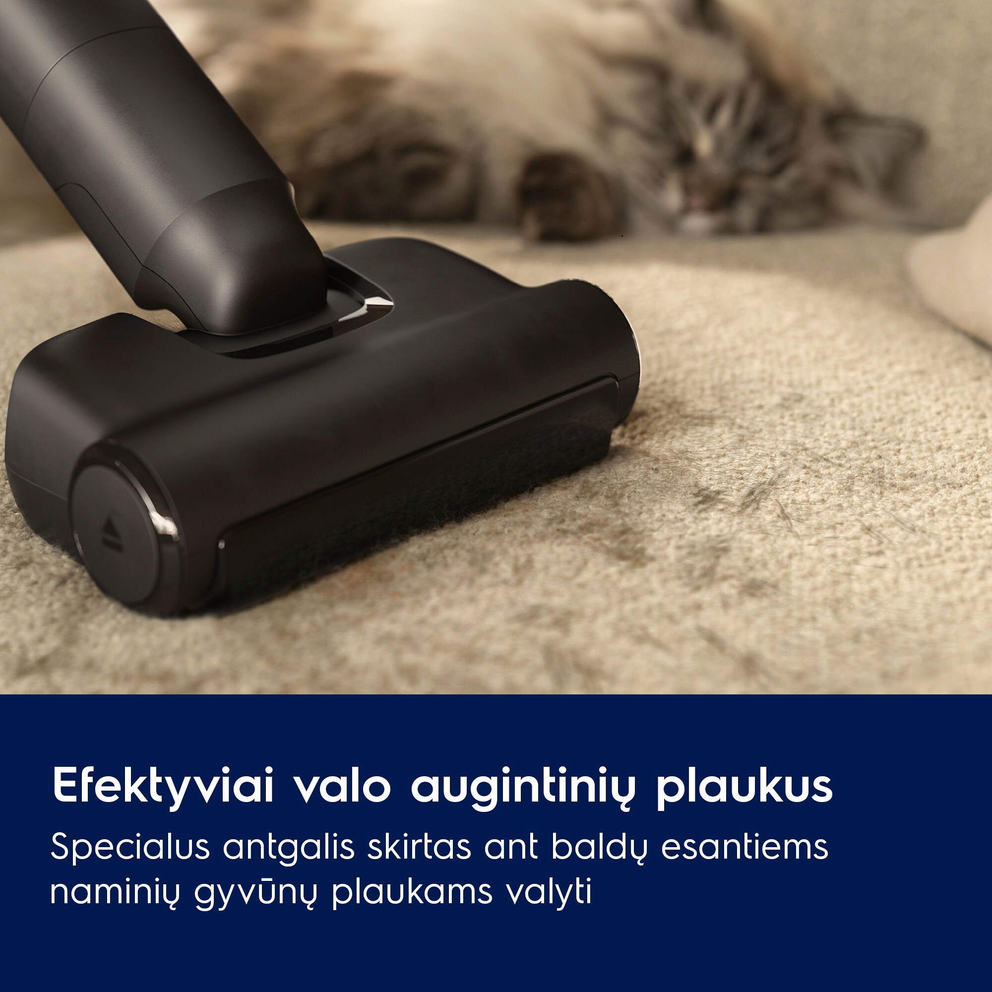 Electrolux - Belaidis dulkių siurblys - EP82AB25UG